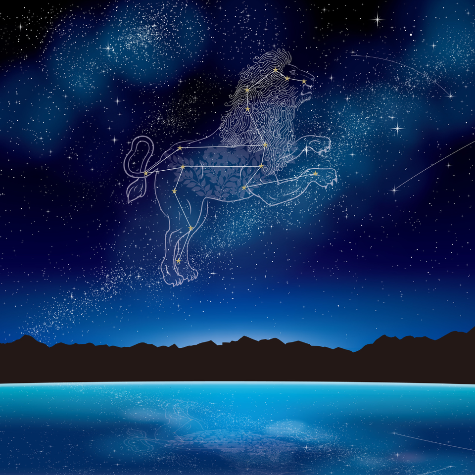 NEW MOON IN LEO With Solarah